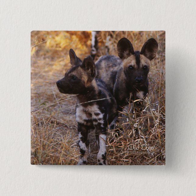 Wild Dogs square button (Front)