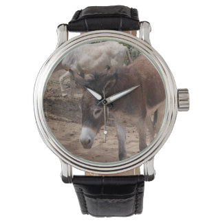 Wild Donkeys Watch