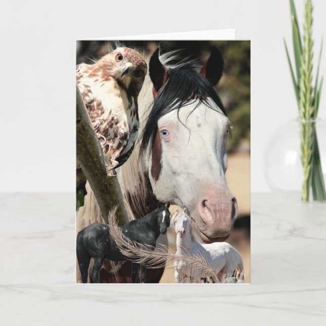 Wild Dreams and Feathers "Mustang Meg" WILD CARD (Front)