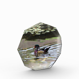 Wild Duck Photo Block
