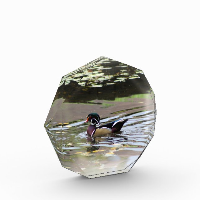 Wild Duck Photo Block (Left)