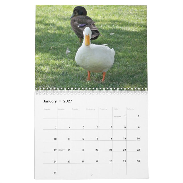 Wild Ducks Calendar (Jan 2027)