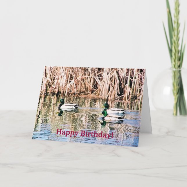 WILD DUCKS CARD (Front)