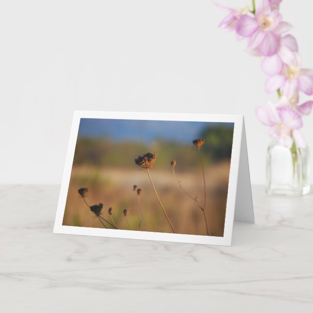 Wild Dying Flowers in Field Landscape Card (Orchid)