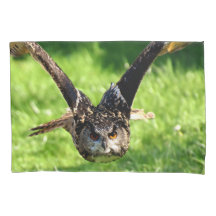 Wild Eagle Owl in Full Flight