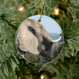 Wild Elephant Eating, South Africa Ceramic Tree Decoration