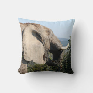 Wild Elephant Eating, South Africa Cushion