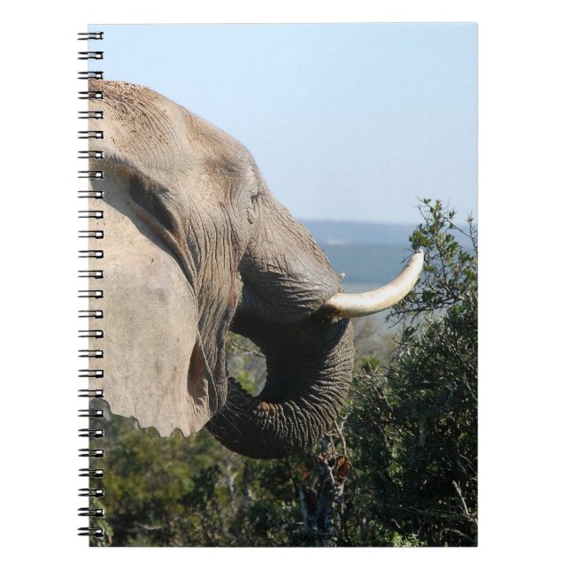 Wild Elephant Eating, South Africa Spiral Notebook (Front)