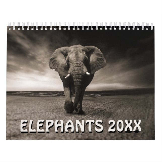 Wild Elephants Calendar (Cover)