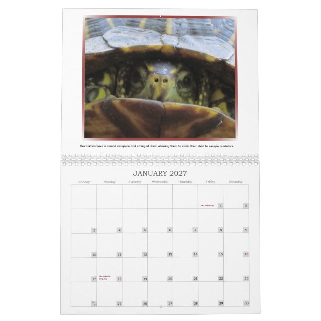 Wild Faces 2013 Calendar (Jan 2027)