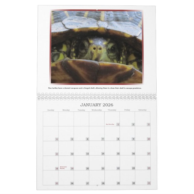 Wild Faces 2013 Calendar (Jan 2026)