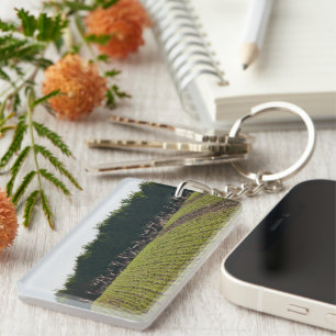 Wild Fallow Deer Key Ring