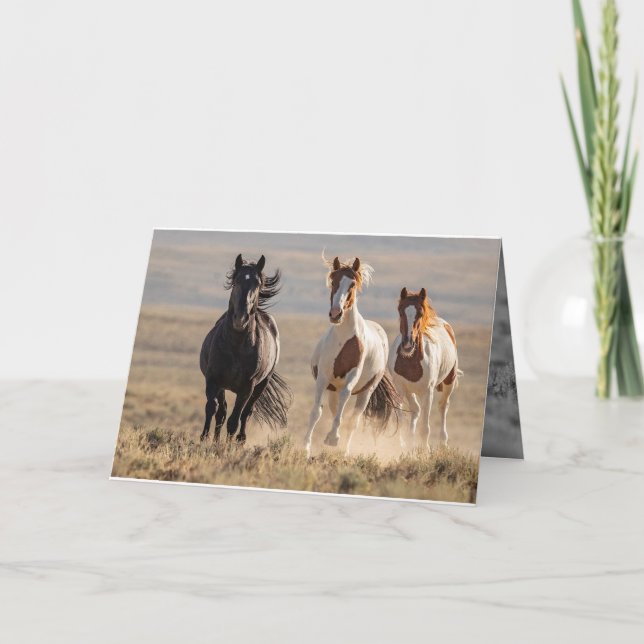 Wild Family Runs Horse Greeting Card (Front)