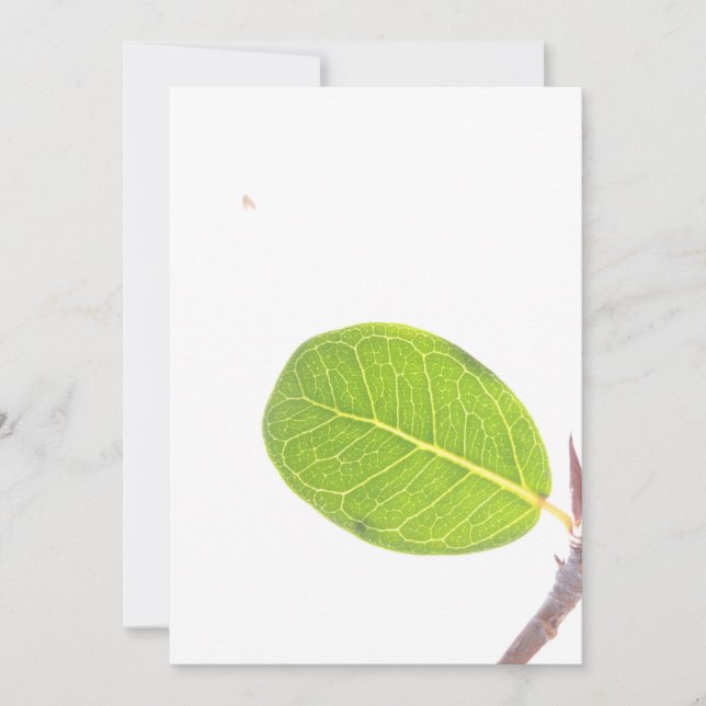 Wild Fig Rich Green Leaf Texture Card (Front)