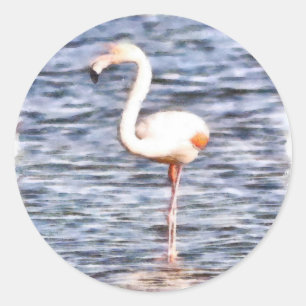 Wild Flamingo Classic Round Sticker