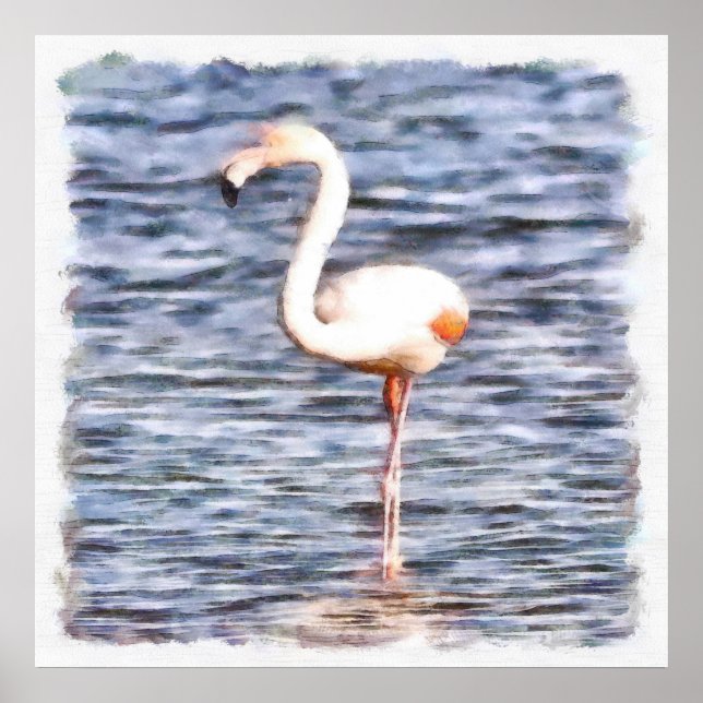 Wild Flamingo Poster (Front)