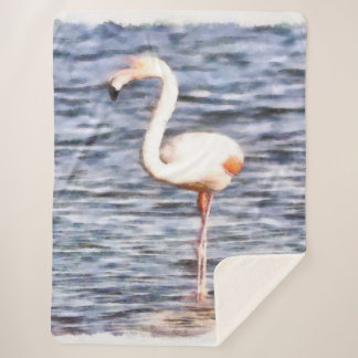 Wild Flamingo Sherpa Blanket