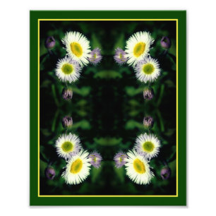 Wild Fleabane Daisy Flower Abstract 8x10 Photo Print