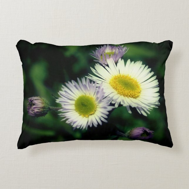 Wild Fleabane Daisy Flower Close Up  Decorative Cushion (Front)