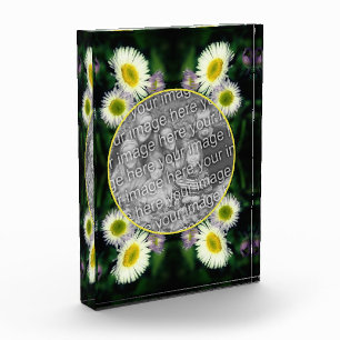 Wild Fleabane Daisy Flower Frame Add Your Photo Block