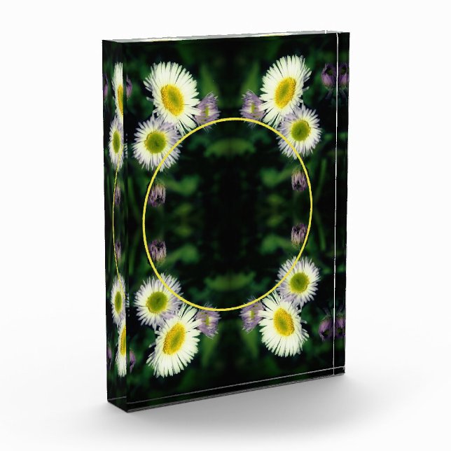 Wild Fleabane Daisy Flower Frame Add Your  Photo Block (Left)