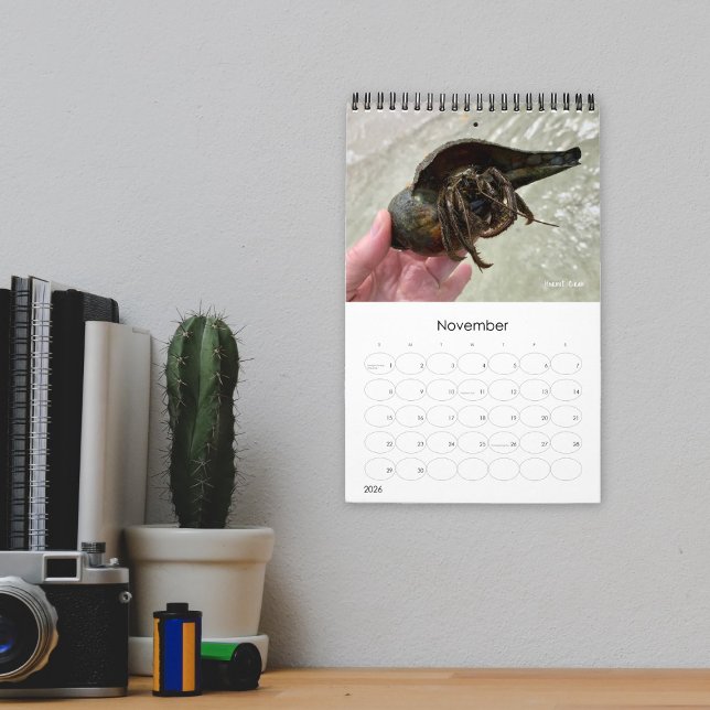 Wild Florida Marine Snails Hermit Crabs Custom Calendar (Creator Uploaded)