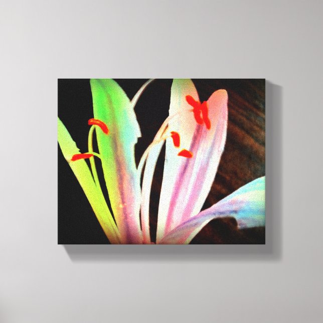 Wild Flower Canvas Print (Front)