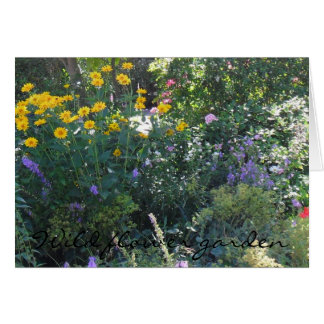 Wild flower garden