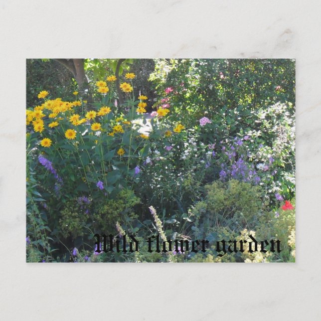 Wild flower garden postcard (Front)