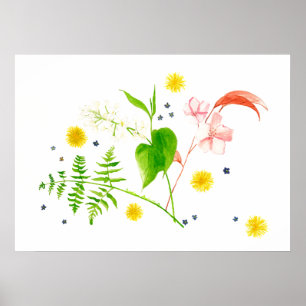 wild flower poster