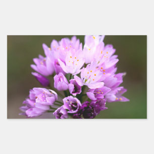 Wild Flower Rectangular Sticker