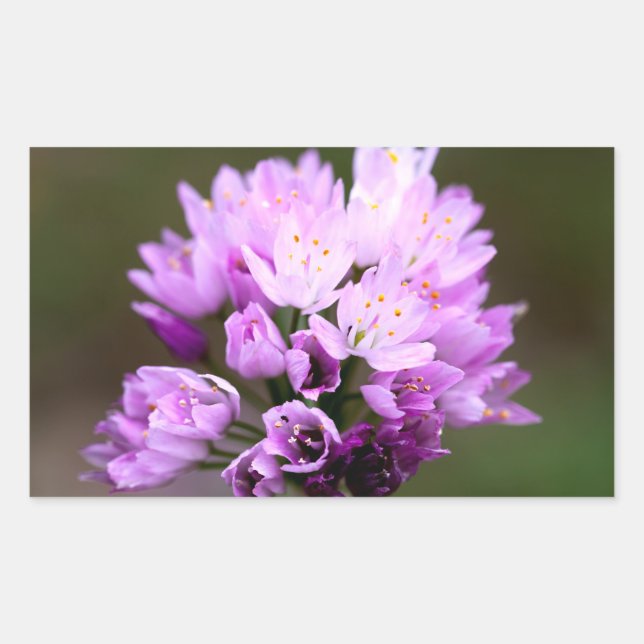 Wild Flower Rectangular Sticker (Front)
