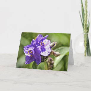 Wild Flower Scripture Note Card Hebrews 11:1