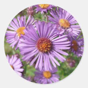 Wild flower stickers