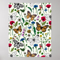 Wild flowers and butterflies on white