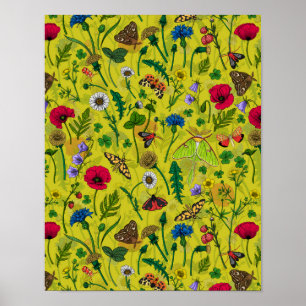 Wild flowers and butterflies poster