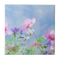 Wild Flowers Blue Sky