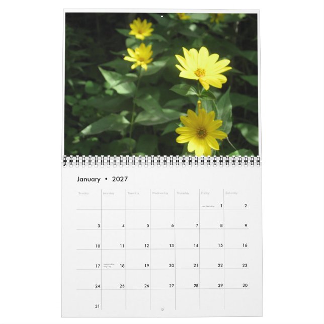 Wild flowers calendar (Jan 2027)