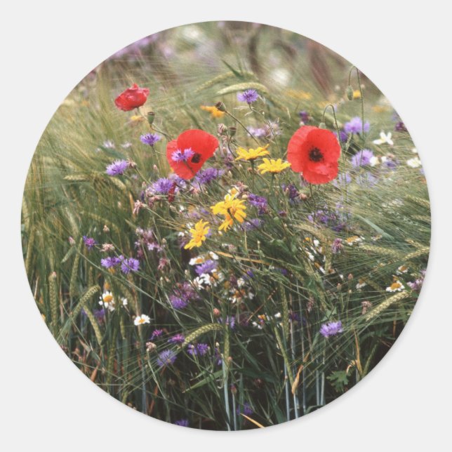 Wild flowers classic round sticker (Front)