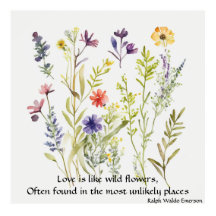 Wild Flowers editable quote by Ralph Waldo Emerson