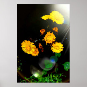 Wild flowers in the sunshine poster