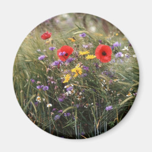 Wild flowers magnet