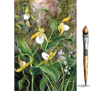 Wild Flowers of Simla, India by Marianne North Tissue Paper