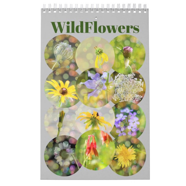 Wild Flowers Photography Calendar (Cover)