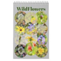 Wild Flowers Photography