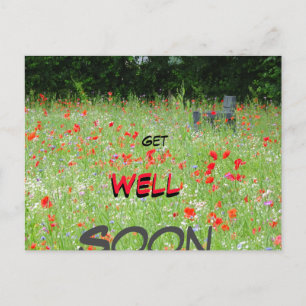Wild Flowers Poppies Bench Get Well Soon Postcard