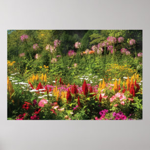 Wild Flowers Poster