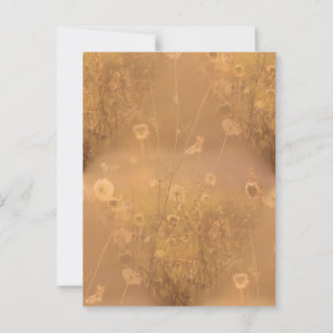 Wild Flowers with Orange Glow Postcard