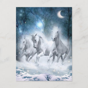 Wild Flurry Postcard