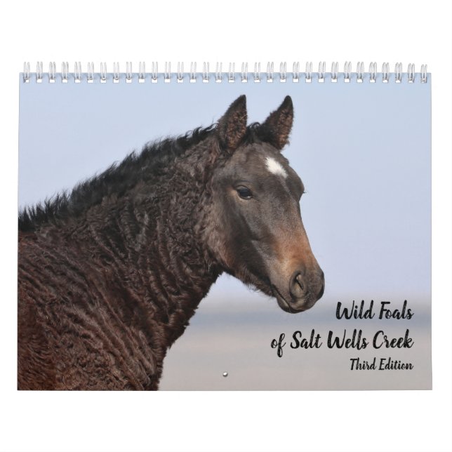 Wild Foals of Salt Wells Creek Calendar (Cover)